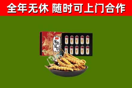 商州区回收冬虫夏草价格